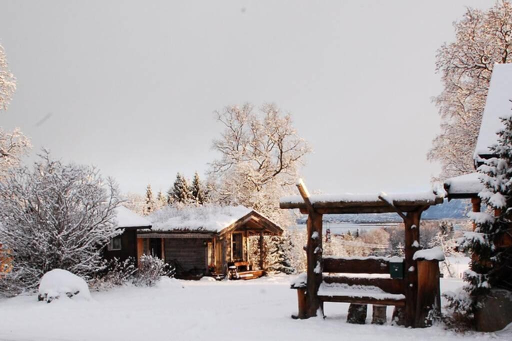 100 Years Old Norwegian Log House In Тромсё