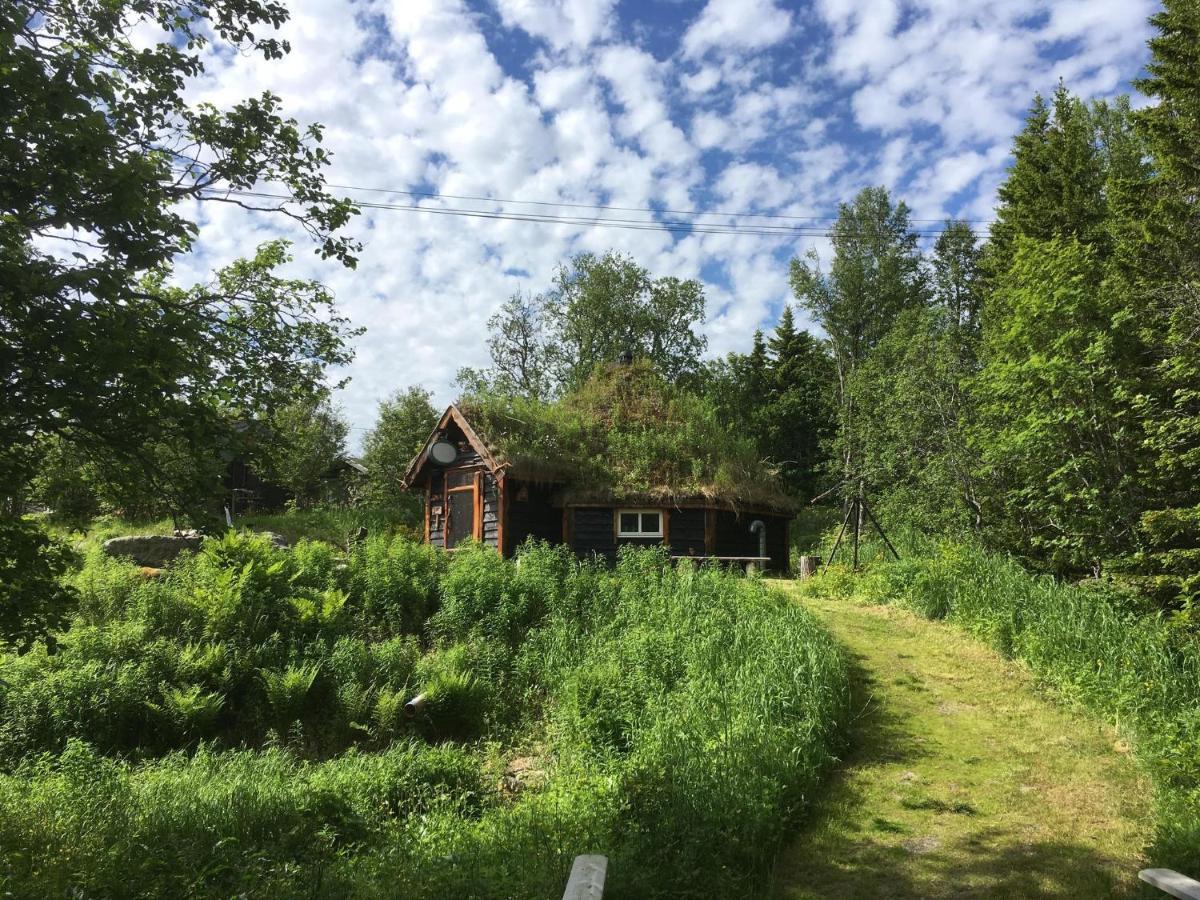 100 Years Old Norwegian Log House In Feriehus *