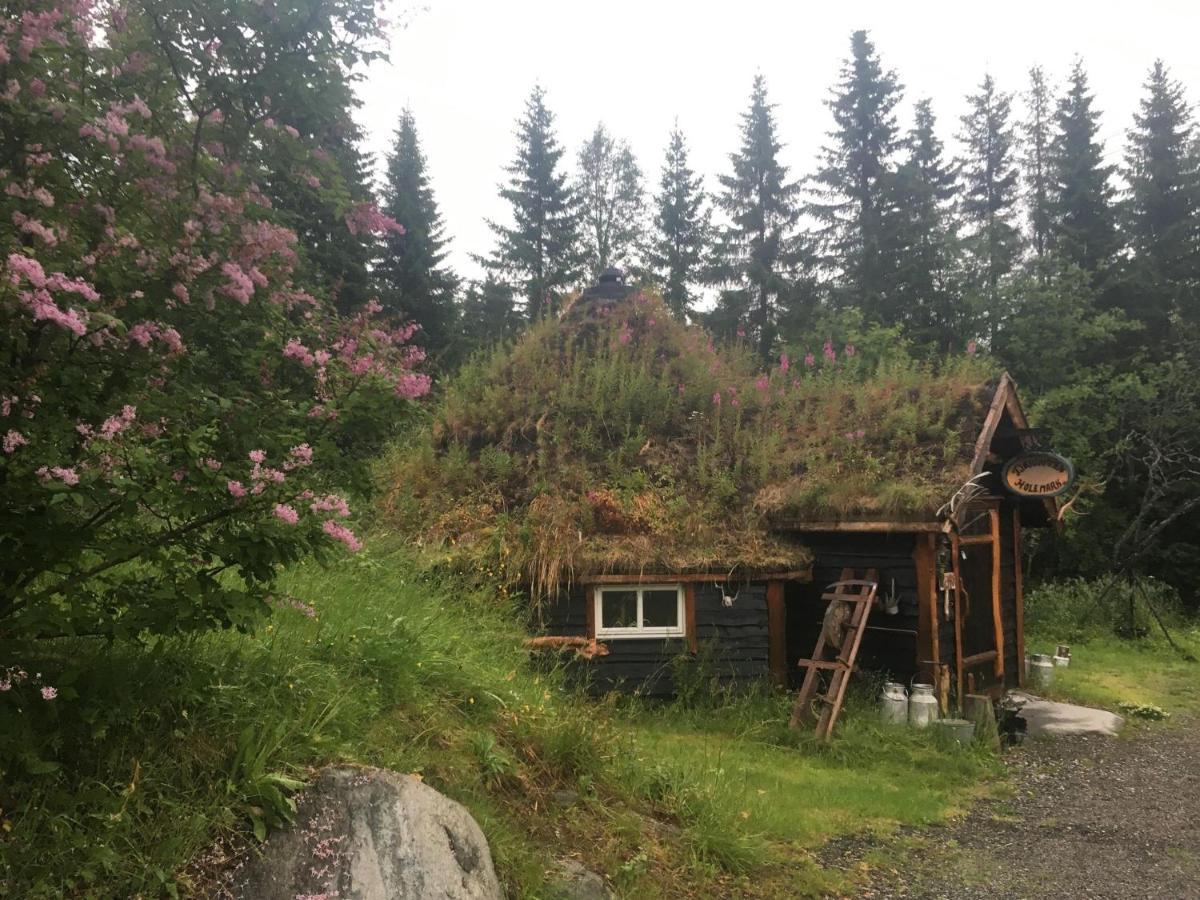 100 Years Old Norwegian Log House In Дом отдыха Тромсё