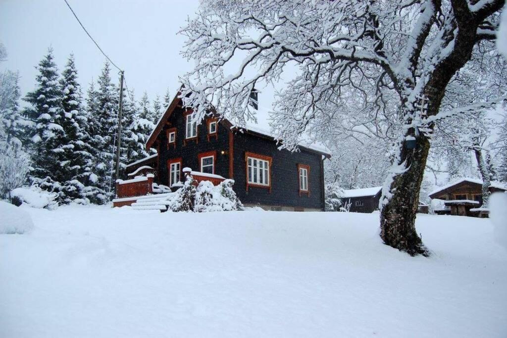 100 Years Old Norwegian Log House In * Tromsø